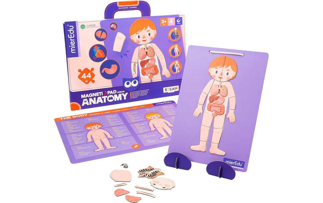 mierEdu Kinderspiel Magnet Pad – Menschliche Anatomie