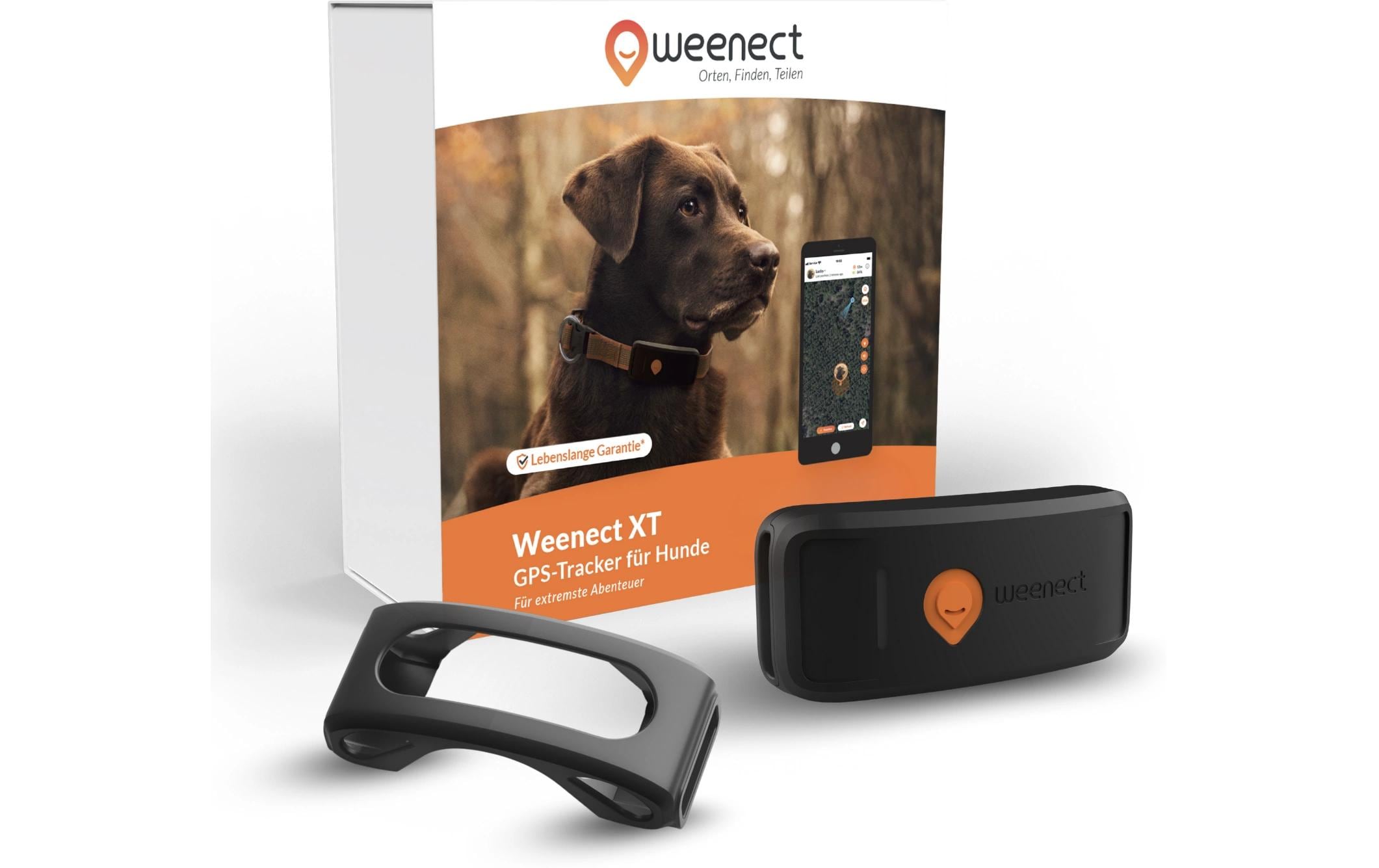 Weenect GPS-Tracker für Hunde XT ohne Halsband Weenect GPS-Tracker für Hunde XT ohne Halsband
