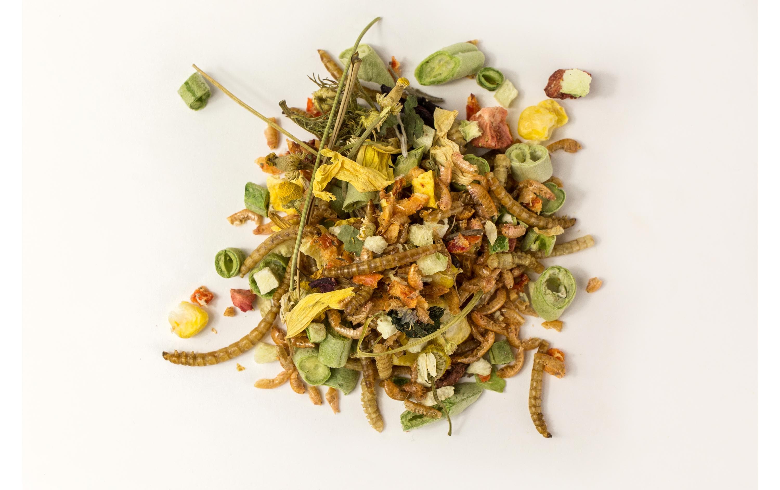 Lucky Reptile Hauptfutter Bearded Dragon Mix Juvenil, 35 g