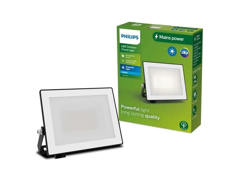 Philips Lois Flutlicht 20W 5000K IP65 schwarz 20 W