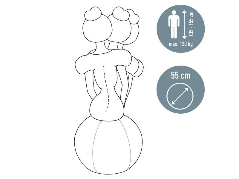 Leitz Sitzball Ergo Active 55 cm
