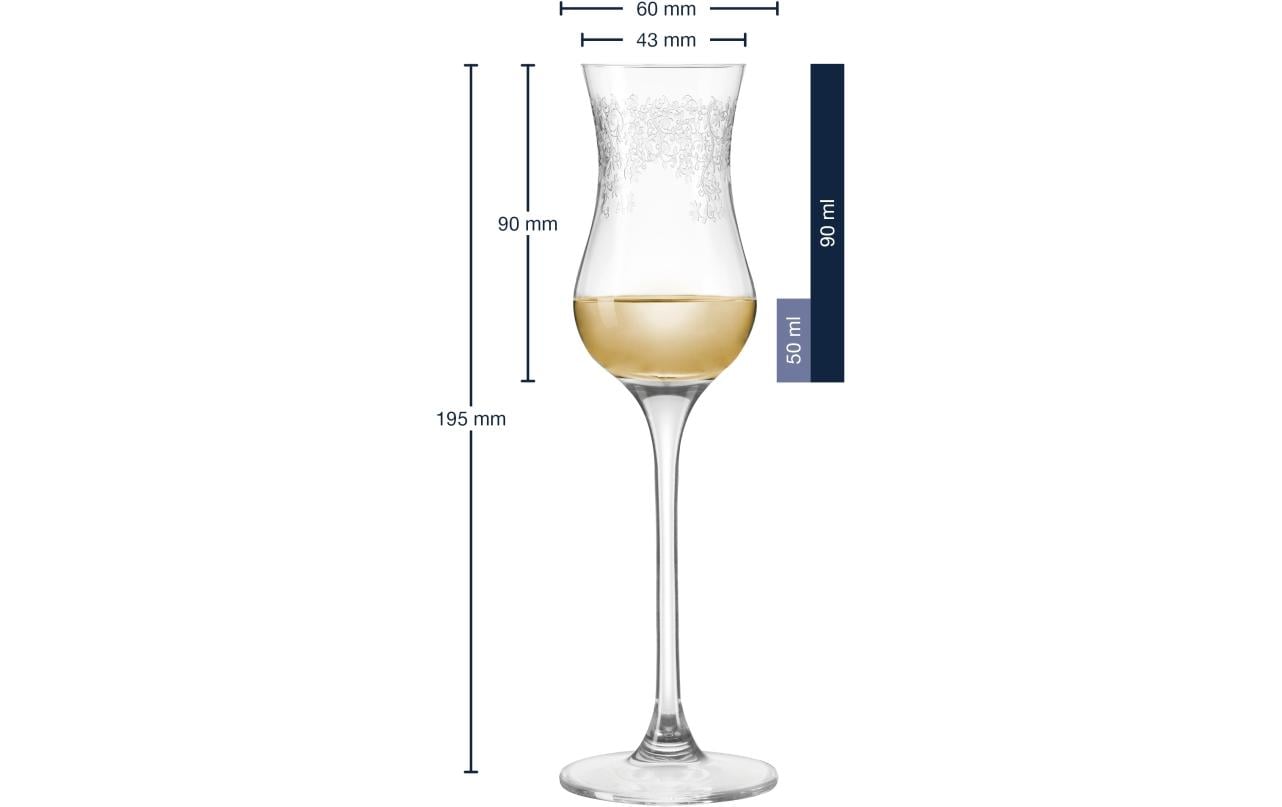 Leonardo Grappaglas Chateau 90 ml, 6 Stück, Transparent 