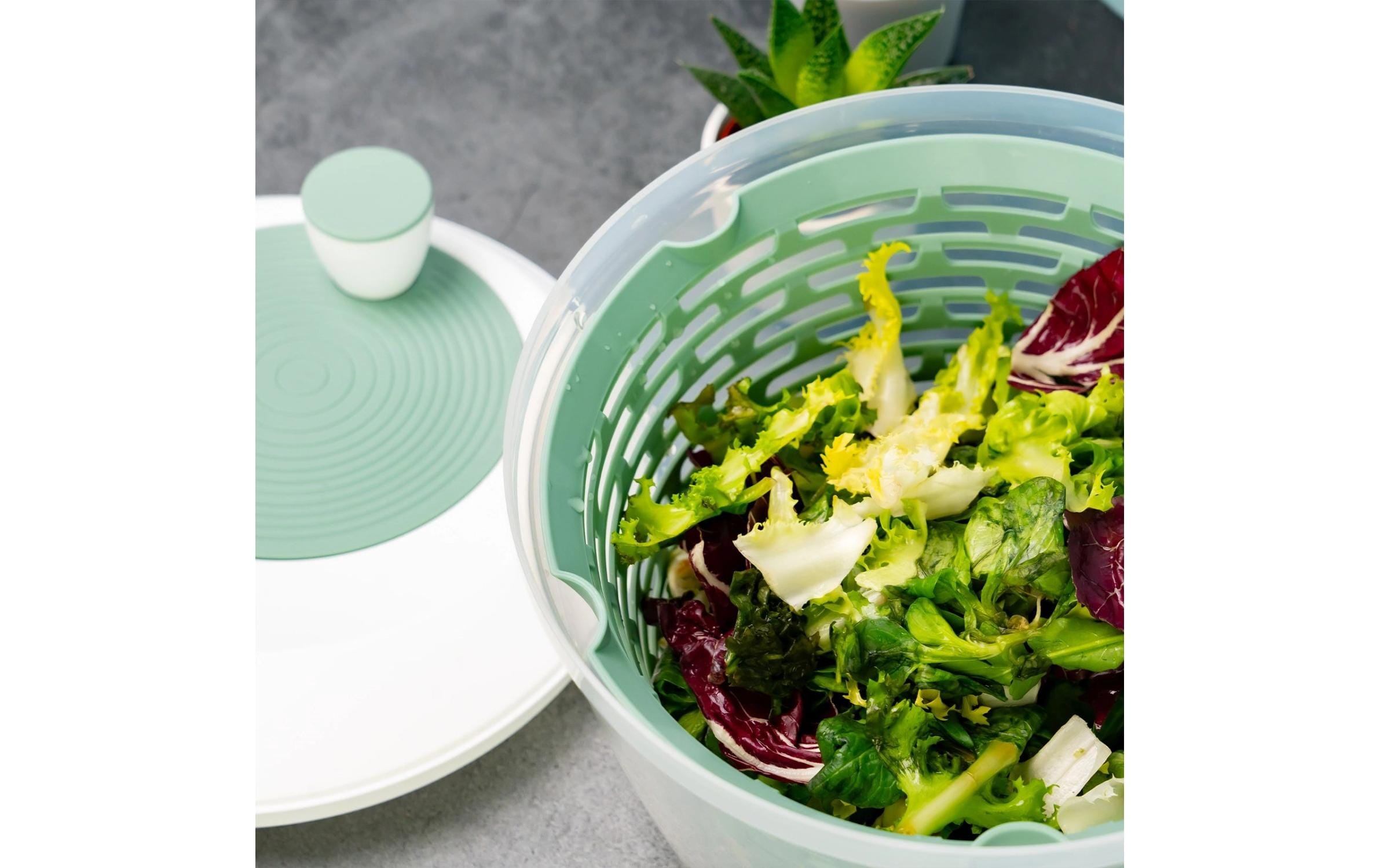 Westmark Salatschleuder Spinderella 23.5 cm, Mint