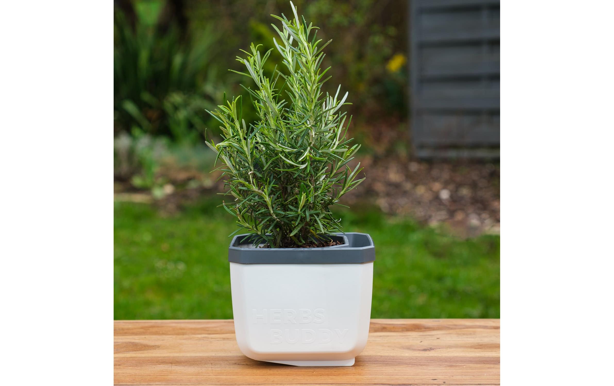 Gusta Garden HERBS BUDDY Kräutertopf 3er Set Weiss
