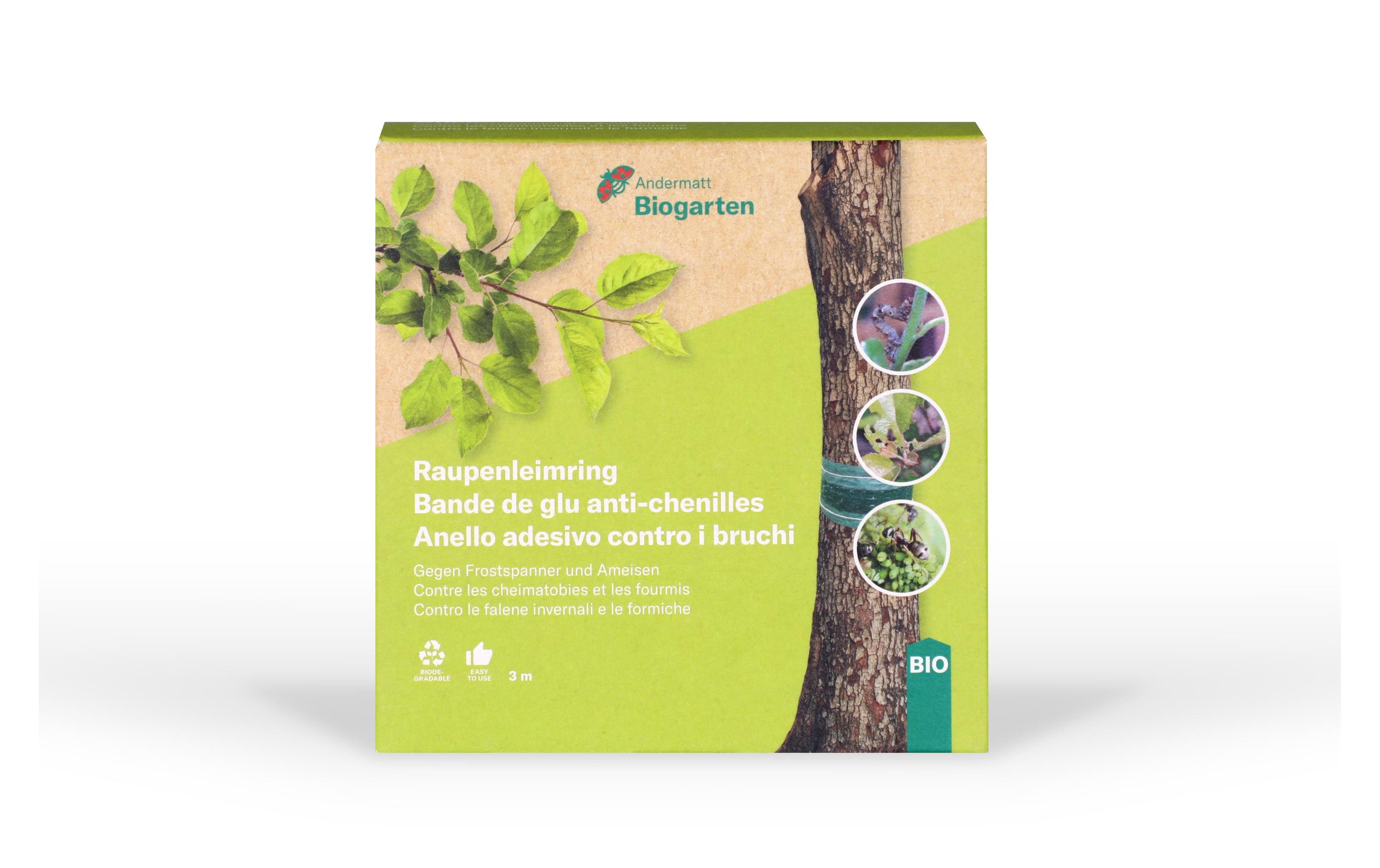 Andermatt Biogarten Raupenleimring, 3 m Andermatt Biogarten Raupenleimring, 3 m