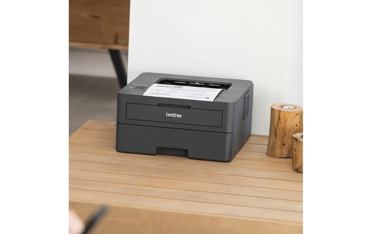 Brother Drucker HL-L2400DW