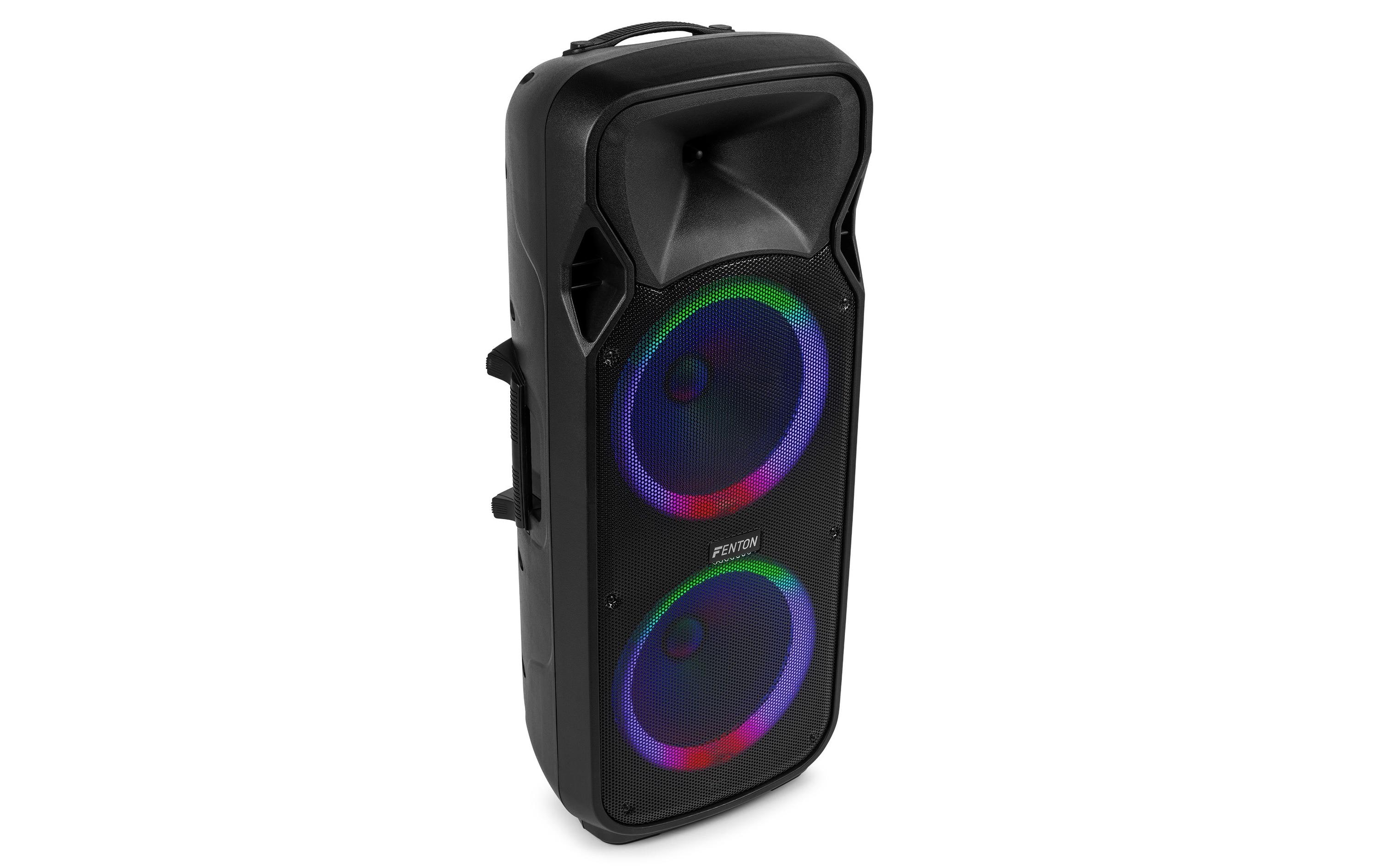 Fenton Lautsprecher FT212 LED MK2