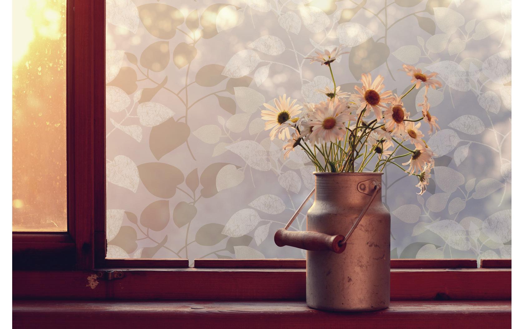 d-c-fix Fensterfolie Amena 67.5 x 150 cm