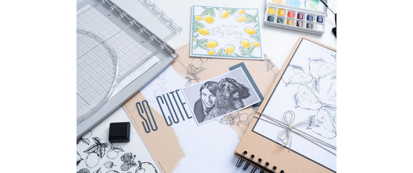 Sizzix Stempel Set Schablone Früchte 19er-Pack