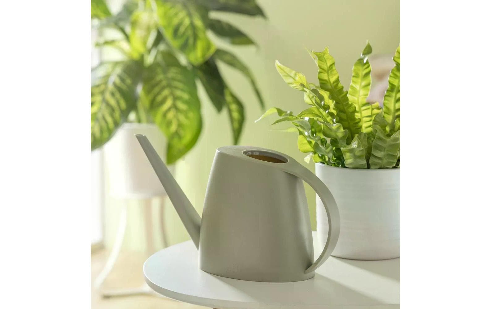 scheurich Giesskanne Lilly Taupe matt scheurich Giesskanne Lilly Taupe matt