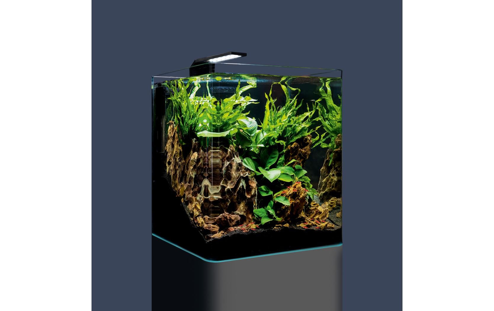 Dennerle Aquarium Nano Cube Complete, 30 l