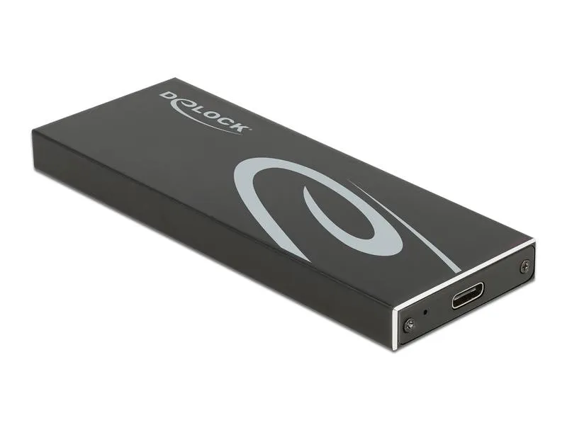 Delock Externes Gehäuse für M.2 SATA SSD mit USB Type-C M.2