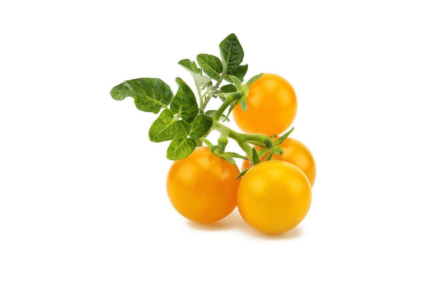 Click and Grow Samen Gelbe Cherrytomaten Click and Grow Samen Gelbe Cherrytomaten