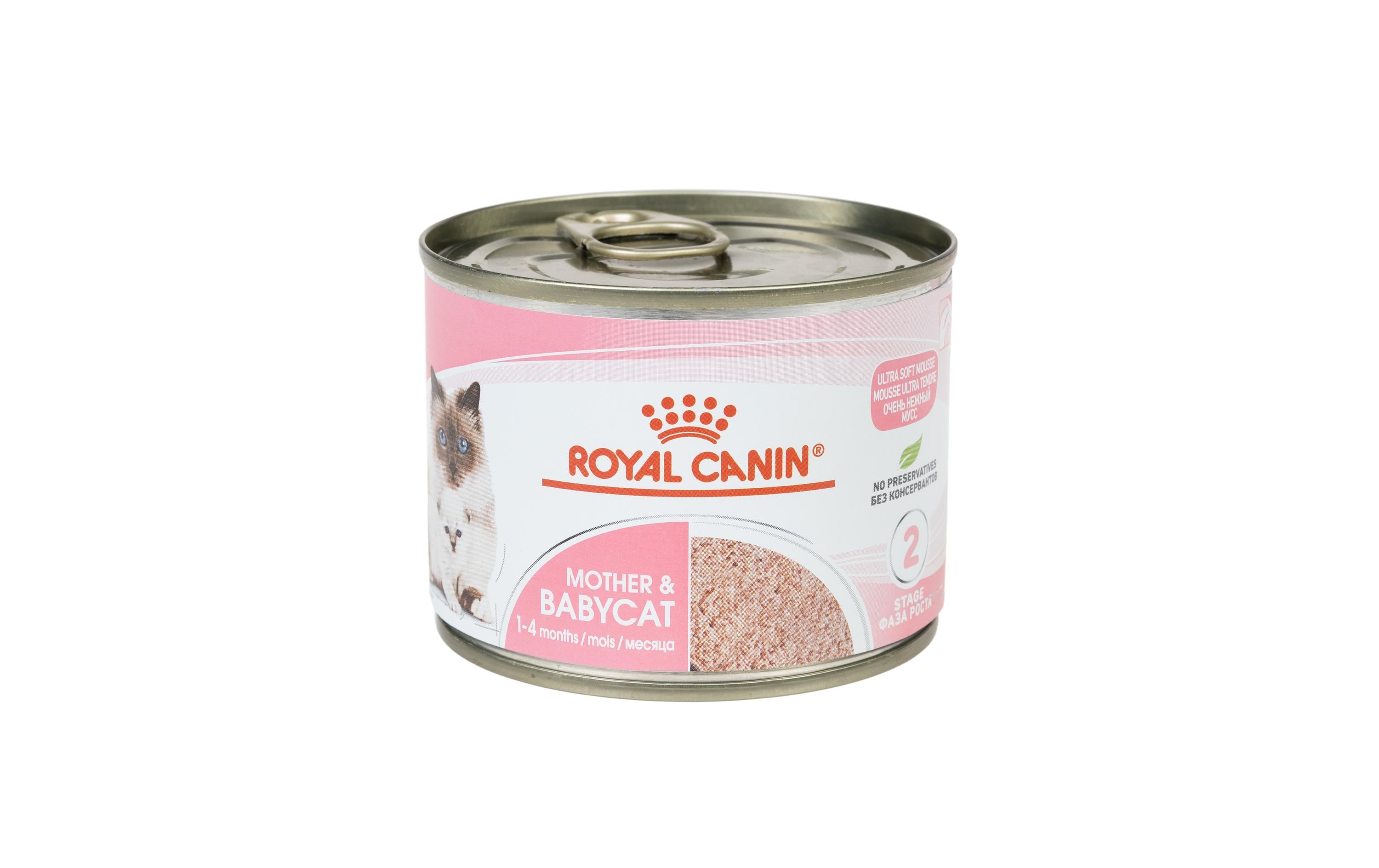 Royal Canin Nassfutter Mother & Babycat Mousse, 12 x 190 g