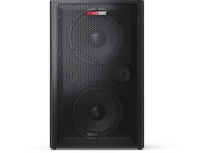 Sharp Bluetooth Speaker CPLS200 8h Akku Sharp Bluetooth Speaker CPLS200 8h Akku