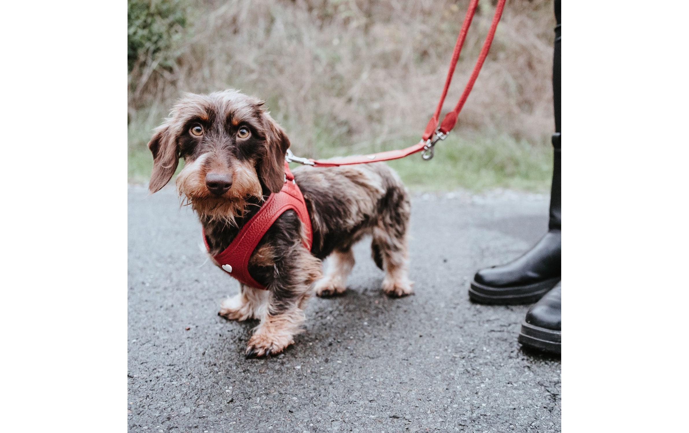 Hunter Verstellbare Führleine Round & Soft Love, 0.6/200, Rot