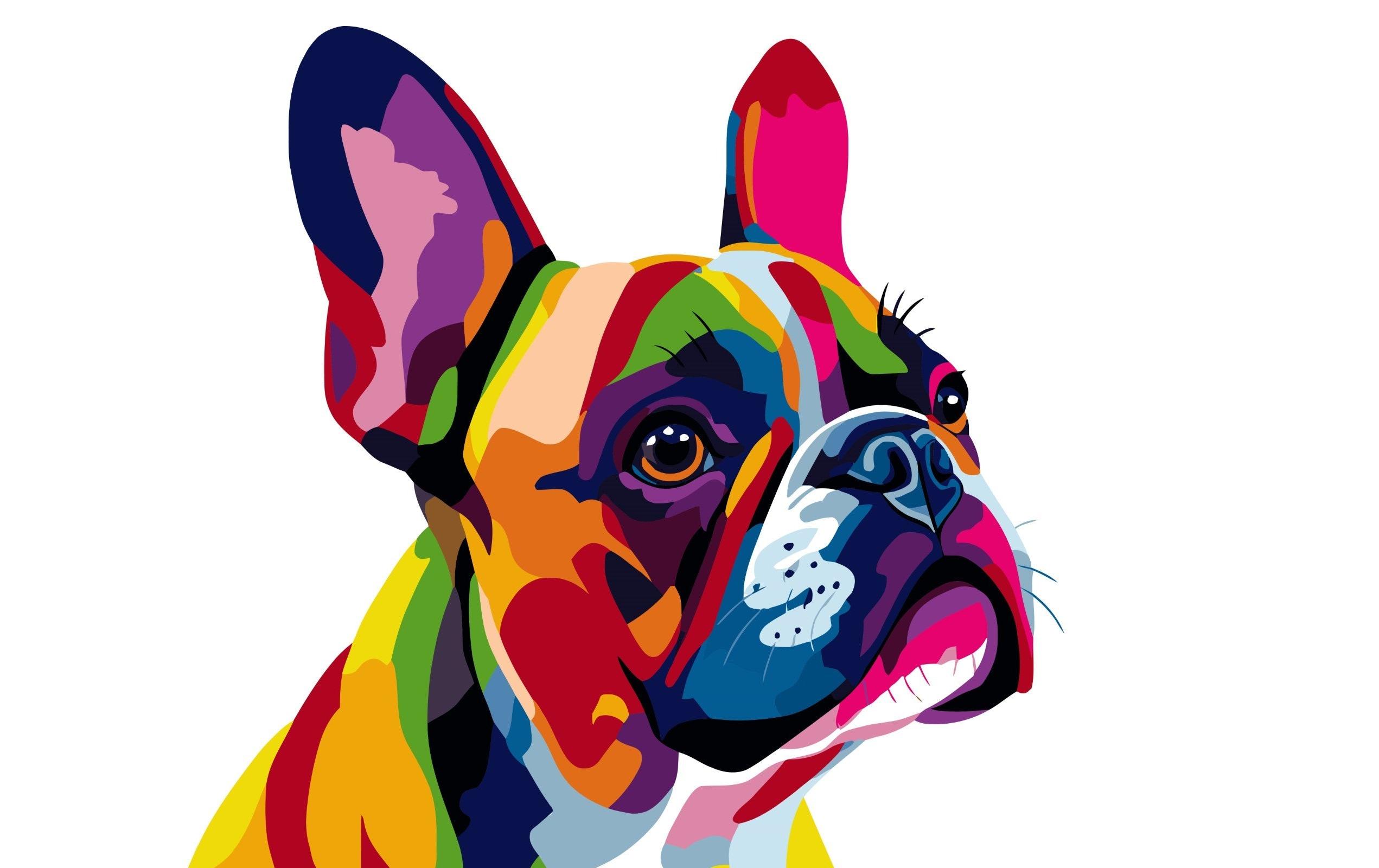 Colorelle Malen nach Zahlen Französische Bulldogge Pop Art Colorelle Malen nach Zahlen Französische Bulldogge Pop Art