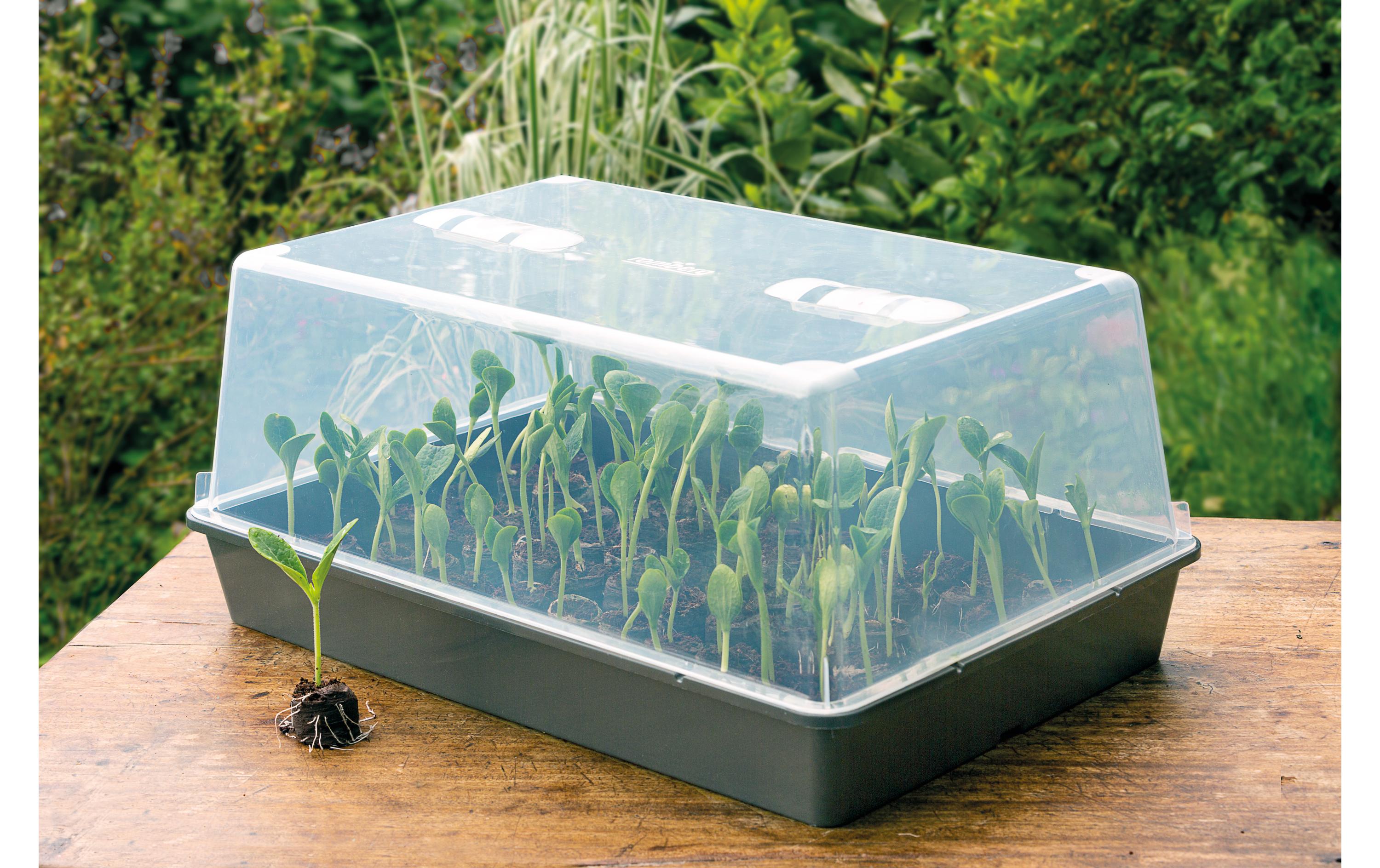 Romberg Gewächshaus XXL mit Belüftung,stabil,lose Ware