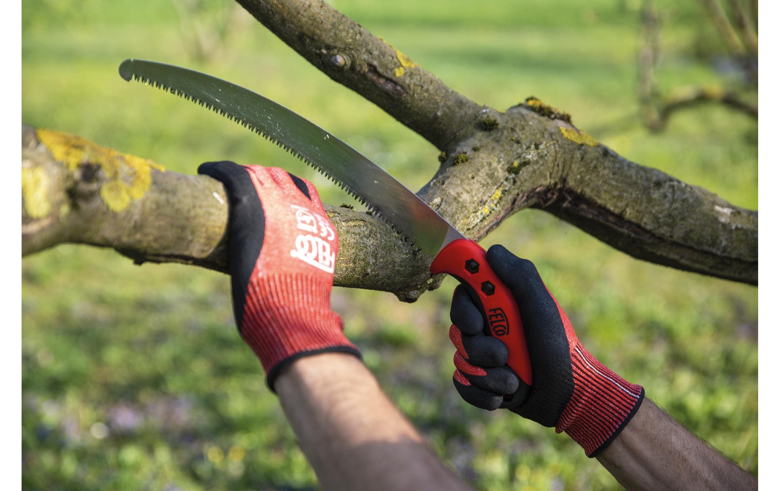 Felco Gartenhandschuh FELCO 701, M