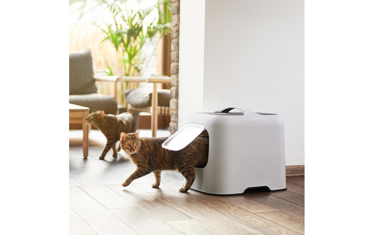 Rotho Katzentoilette Bea Hellgrau