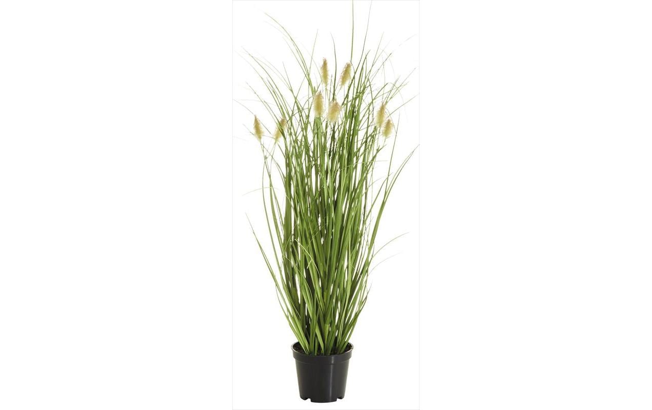 Botanic-Haus Kunstpflanze Fuchsschwanzgras, 46 cm
