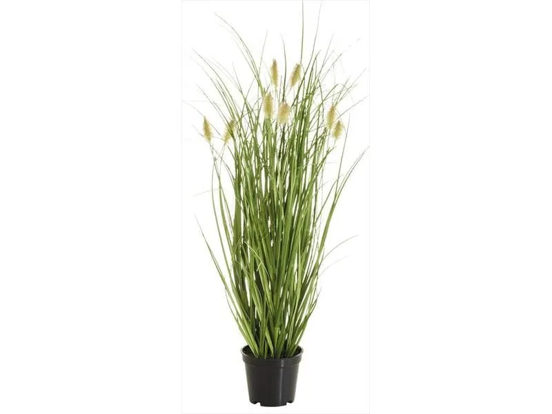 Botanic-Haus Kunstpflanze Fuchsschwanzgras, 46 cm Botanic-Haus Kunstpflanze Fuchsschwanzgras, 46 cm