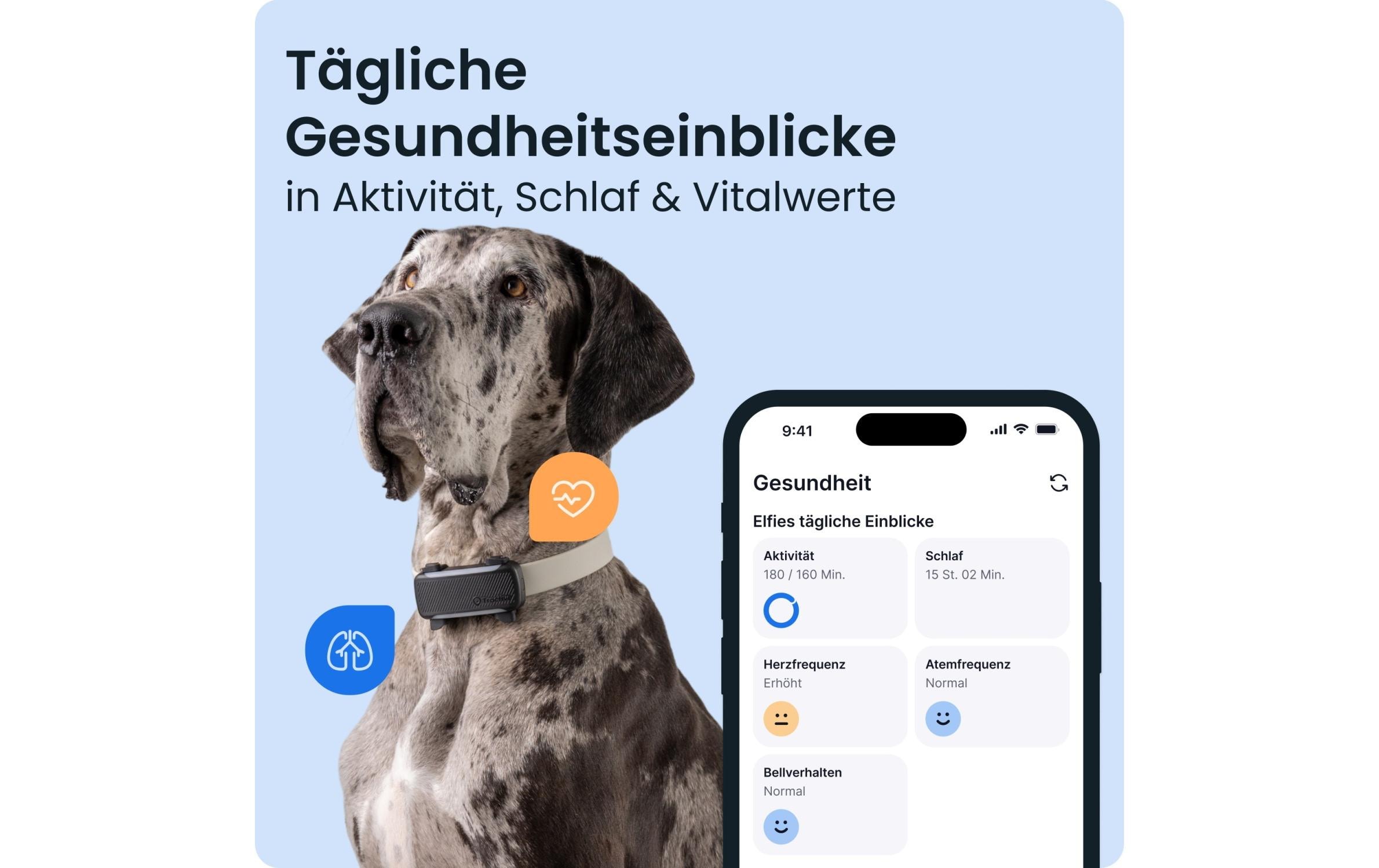 tractive Tractive DOG 6 Xl – black Schwarz, für grosse Hunde ab 20 kg