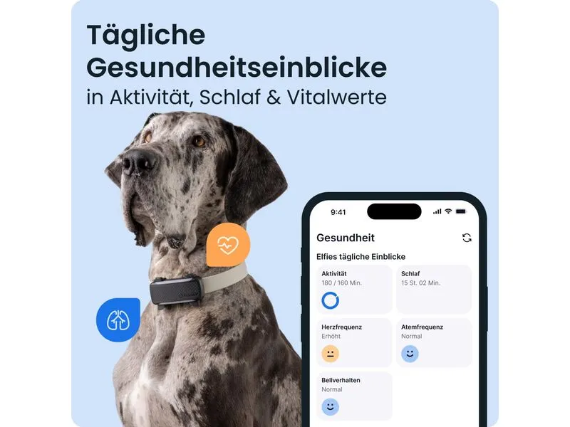 tractive Tractive DOG 6 Xl – black Schwarz, für grosse Hunde ab 20 kg tractive Tractive DOG 6 Xl – black Schwarz, für grosse Hunde ab 20 kg