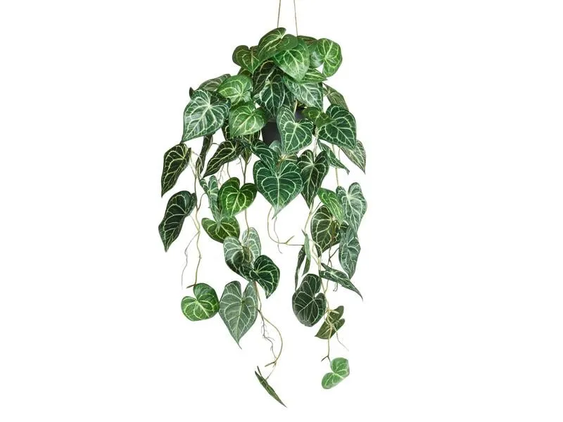 Botanic-Haus Kunstpflanze Anthurium hängend 87 cm