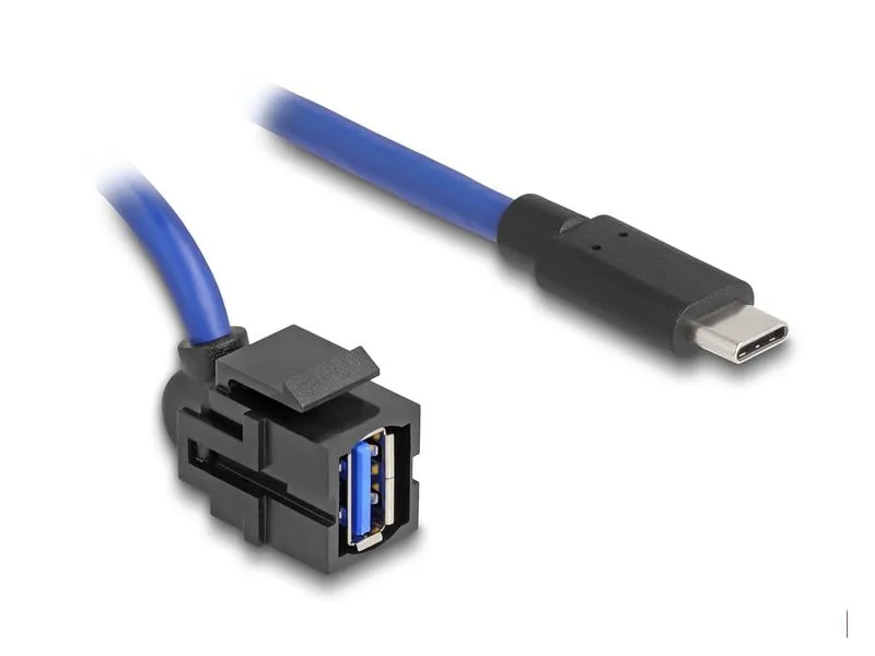 Delock Keystone-Modul USB 5 Gbps A zu USB Type-C