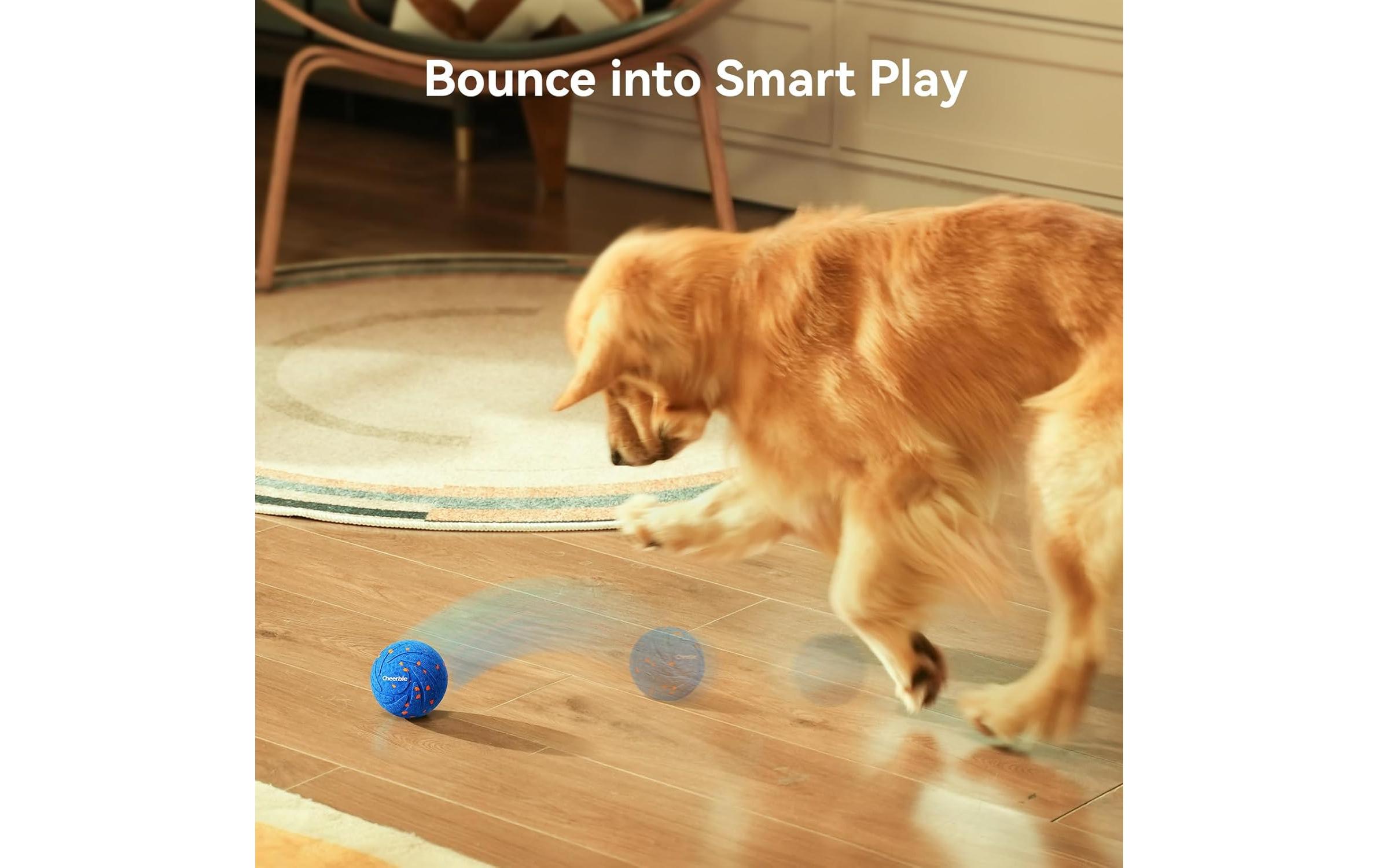 Cheerble Hunde-Spielzeug Wicked Ball Air