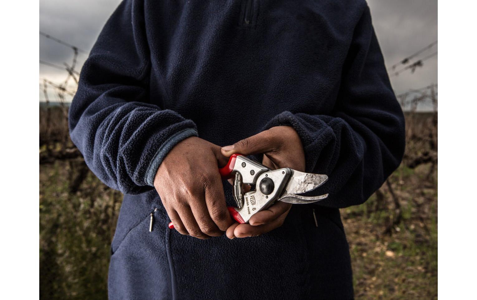 Felco Gartenschere 6