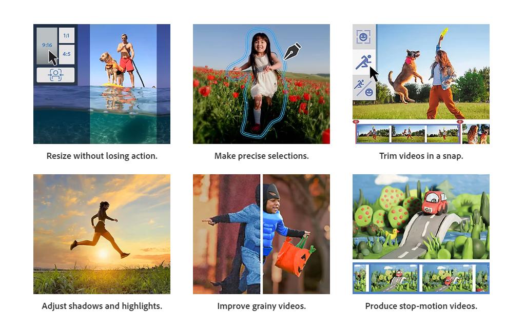 Adobe Premiere Elements 2024 EDU, TLP, Vollversion, Deutsch