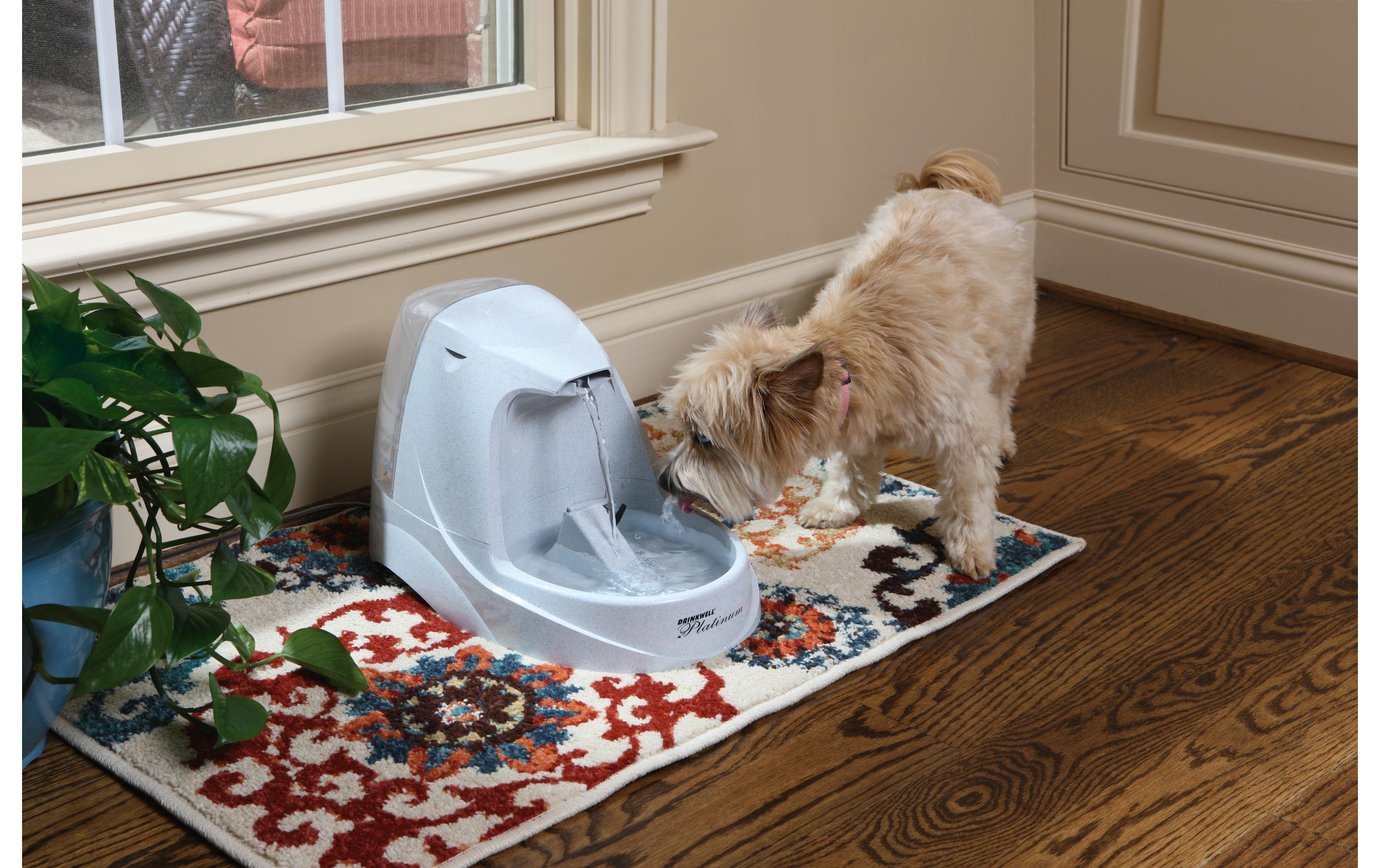 PetSafe Wasserautomat Drinkwell Trinkbrunnen Platinum, 5 l