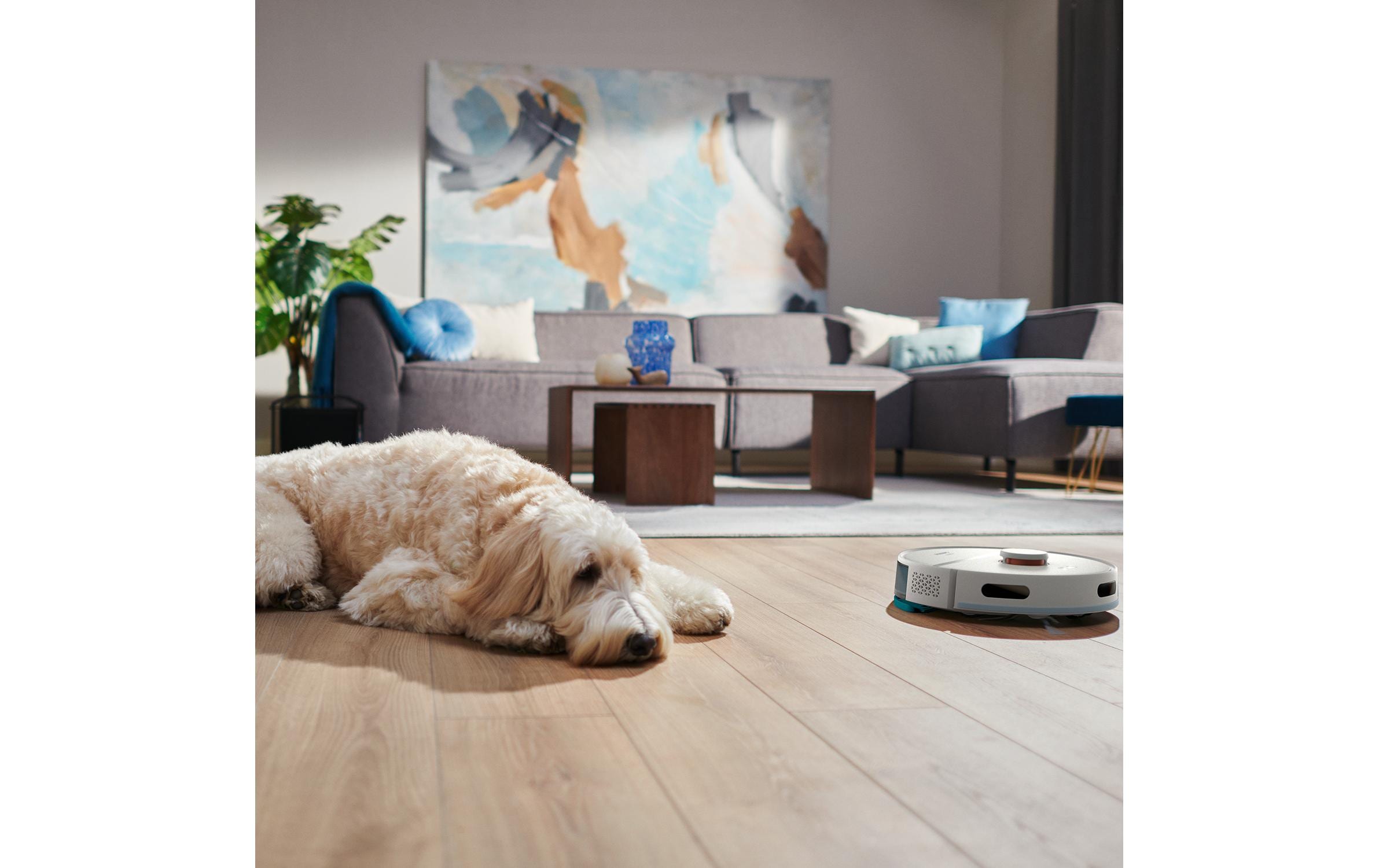 Philips Saug- und Wischroboter HomeRun Weiss Philips Saug- und Wischroboter HomeRun Weiss