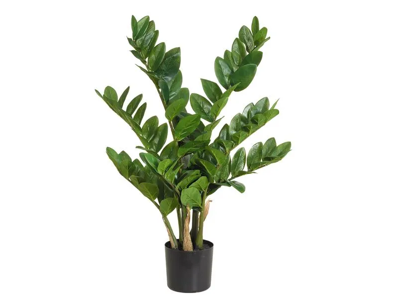 Botanic-Haus Kunstpflanze Zamiculcas 70 cm Botanic-Haus Kunstpflanze Zamiculcas 70 cm