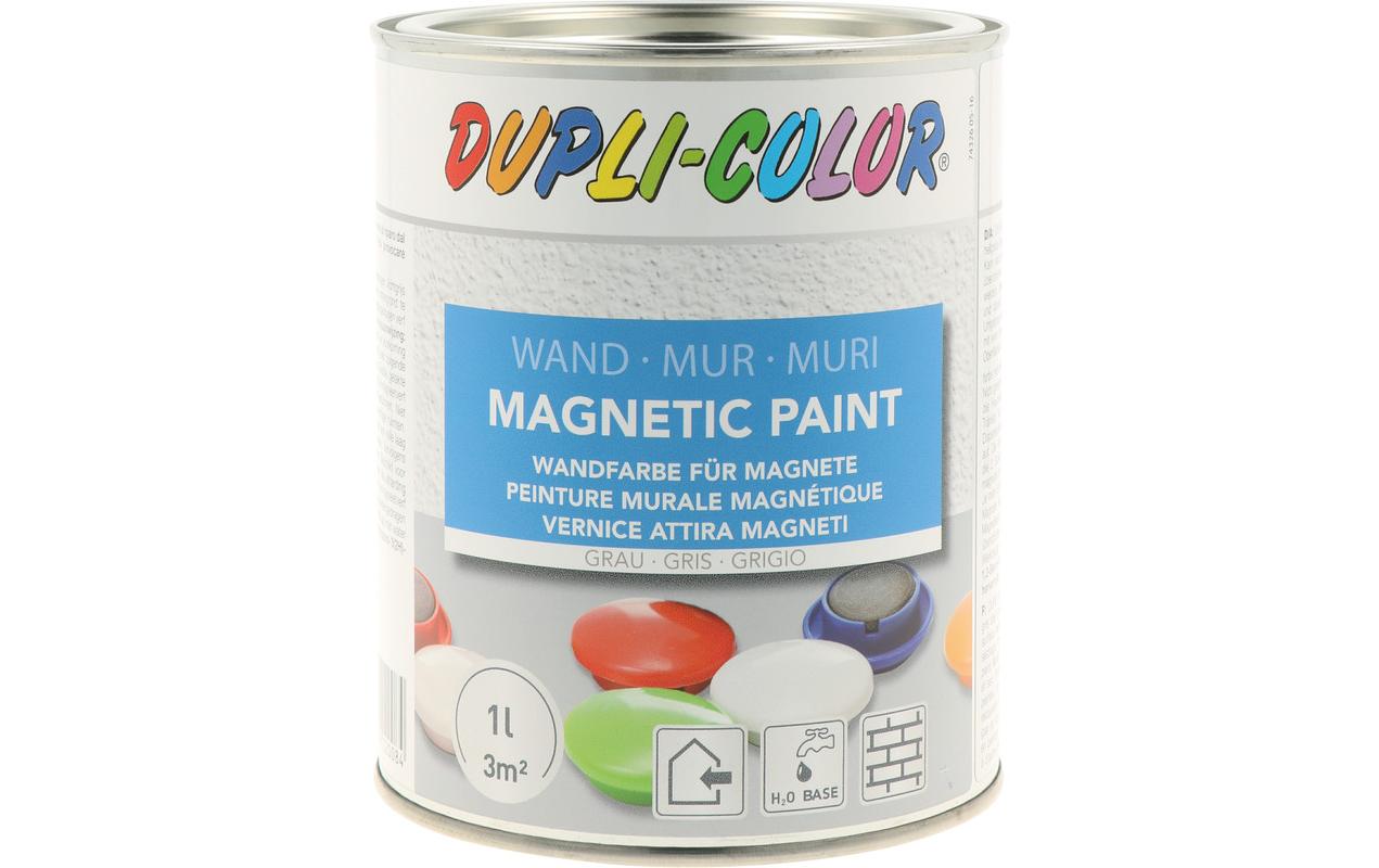 DUPLI-COLOR Magnetfarbe Hellgrau, 1.0 l