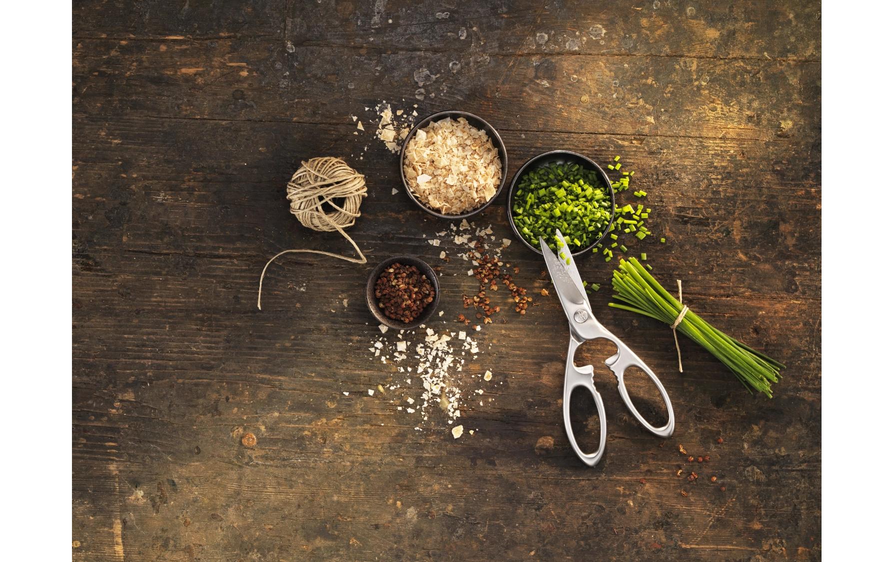 Zwilling Haushaltsschere Twin Select 20 cm