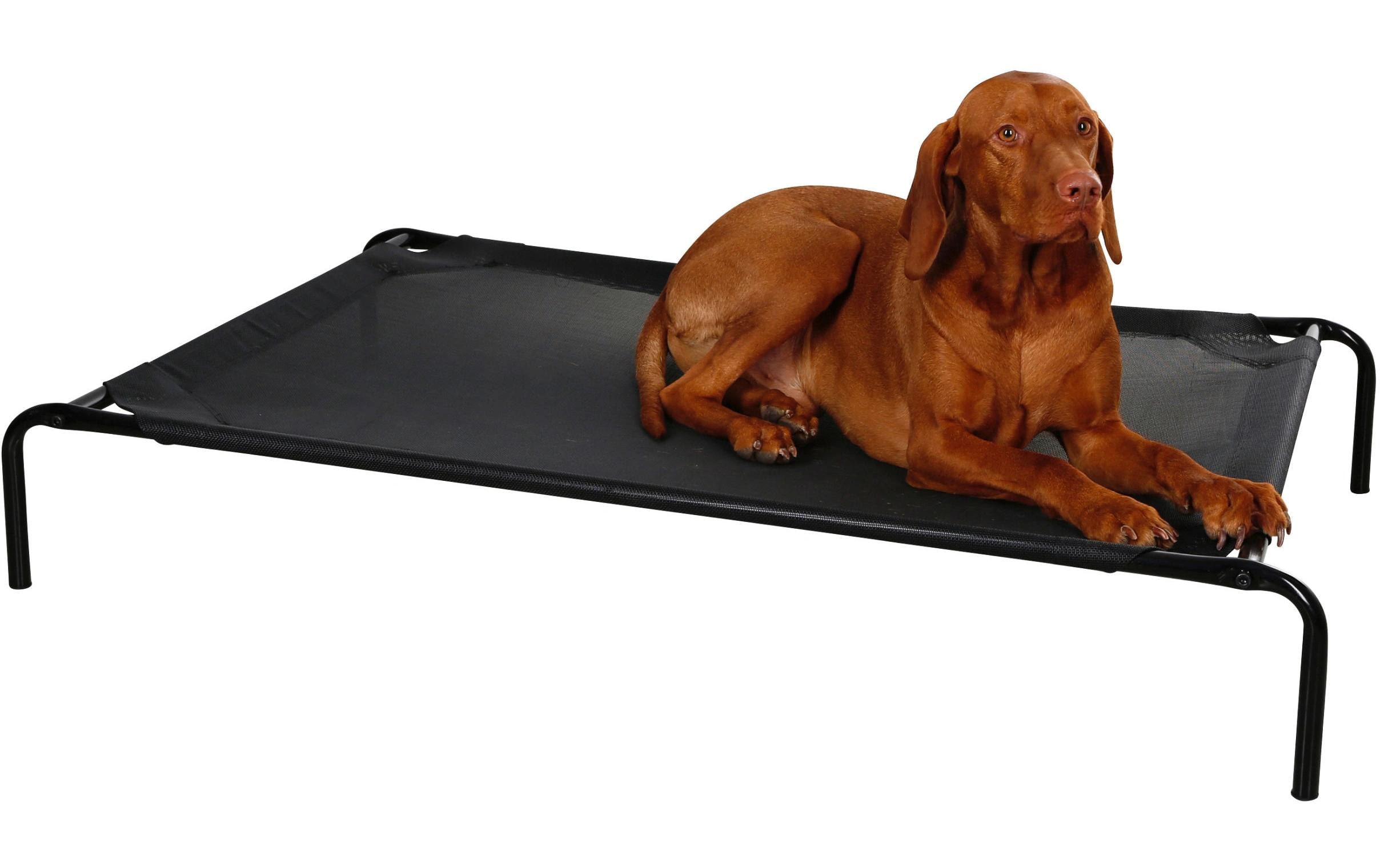 Kerbl Hundeliege Vacation 130 cm x 80 cm x 20 cm Kerbl Hundeliege Vacation 130 cm x 80 cm x 20 cm