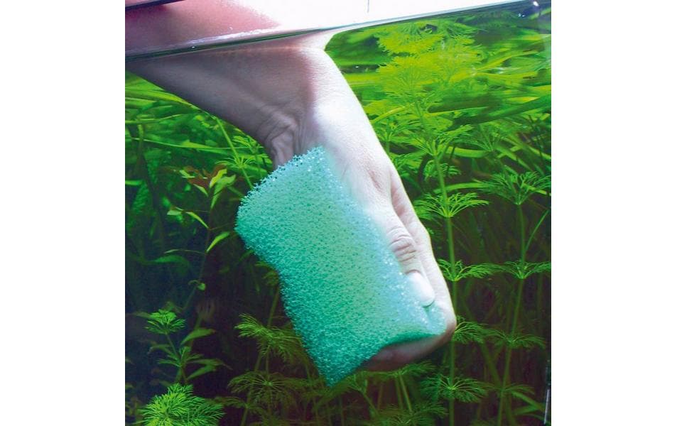 JBL Scheibenreiniger Spongi Reinigungsschwamm, 11.5 x 9 cm, grün