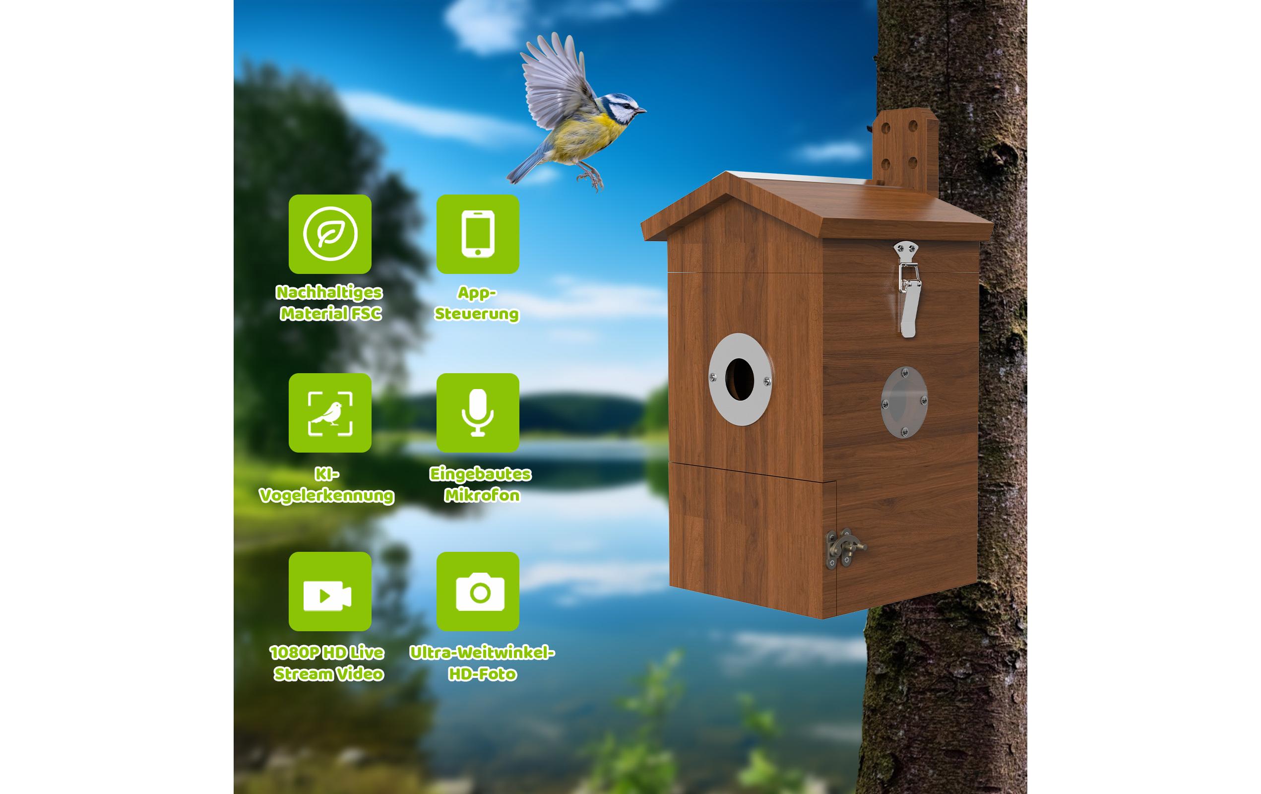 Sanilu Vogel Nistkasten mit Kamera