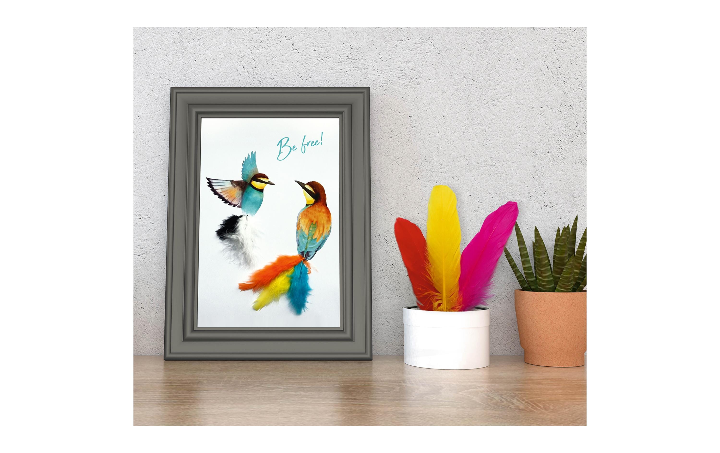 URSUS Federn 50 Stück, Mehrfarbig