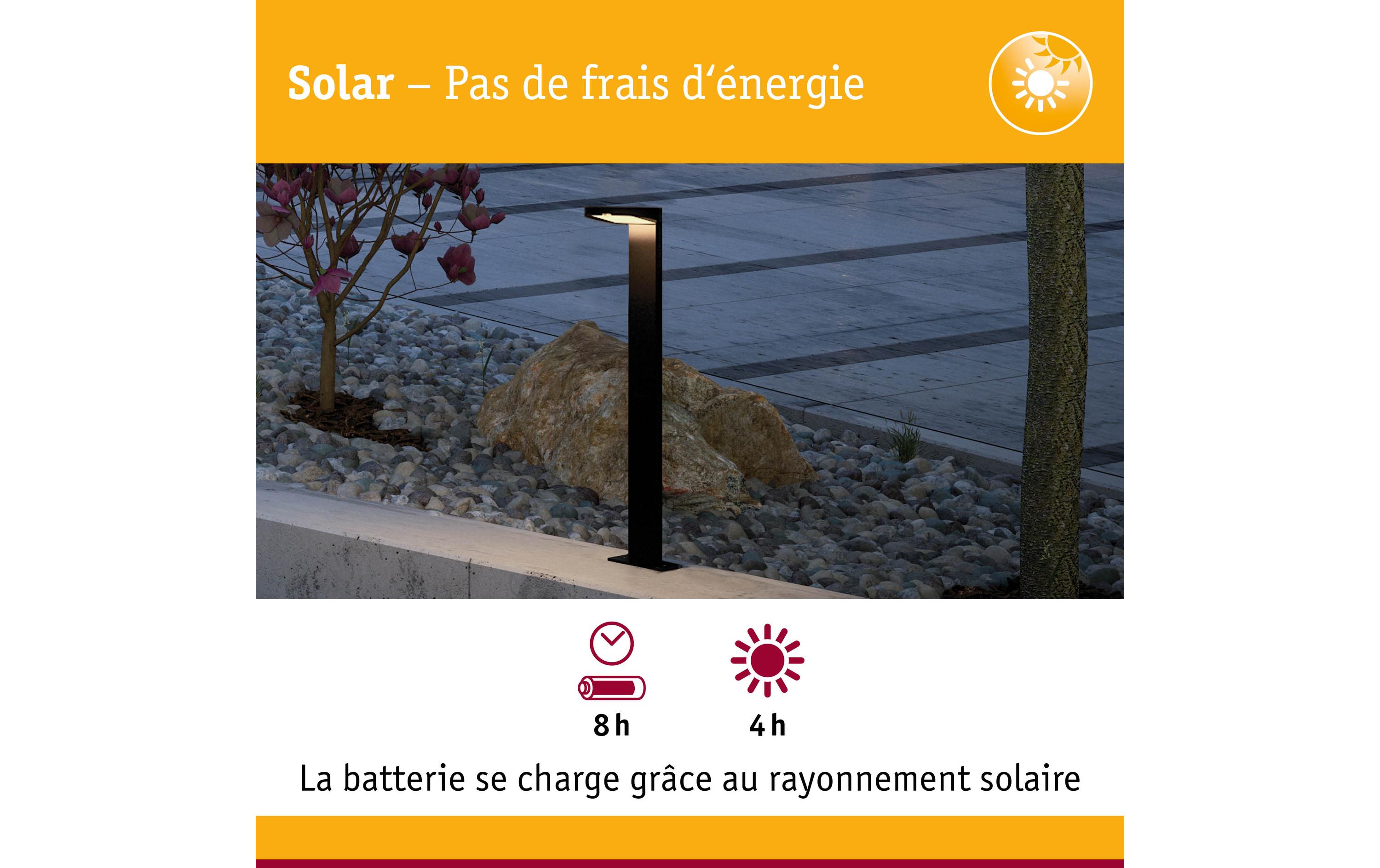 Paulmann Wegeleuchte Solar LED Ryse Bewegungsmelder Paulmann Wegeleuchte Solar LED Ryse Bewegungsmelder