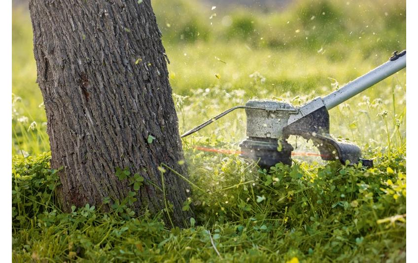 Bosch Professional Akku-Rasentrimmer GRT 18 V-33 PROFESSIONAL