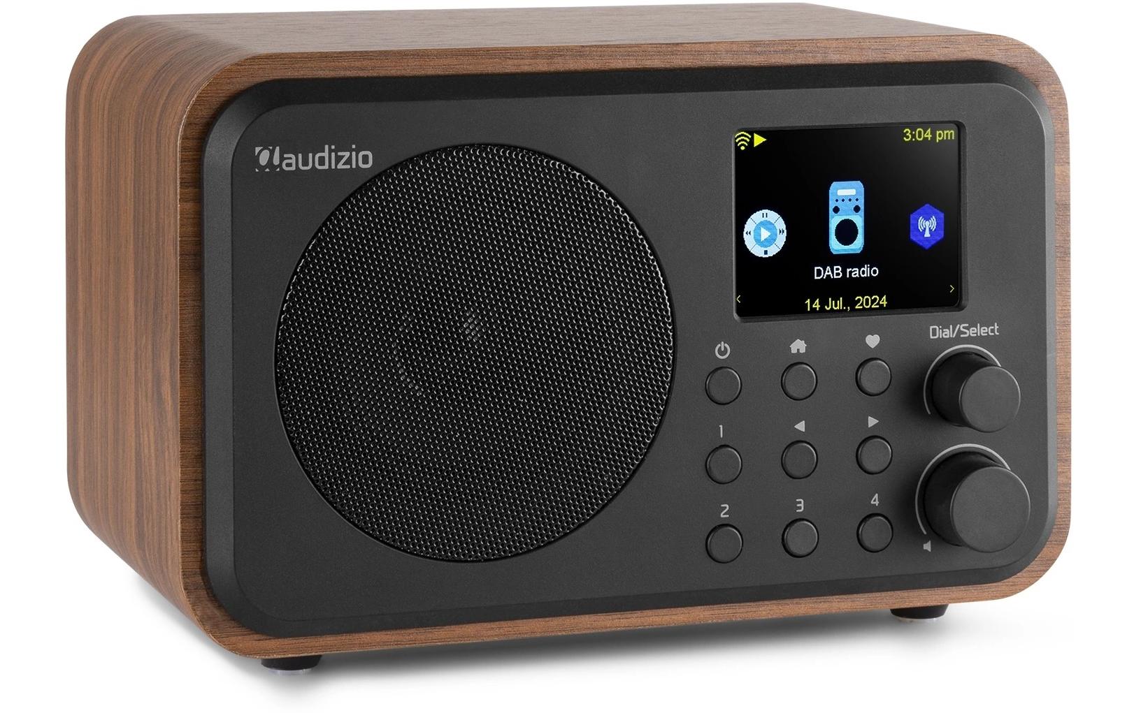Audizio DAB+ Radio Vicenza Braun