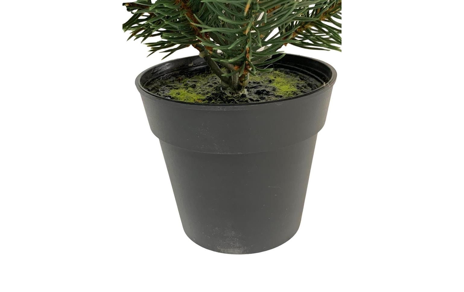 Botanic-Haus Weihnachtsbaum Tannenbaum im Topf, 41 cm