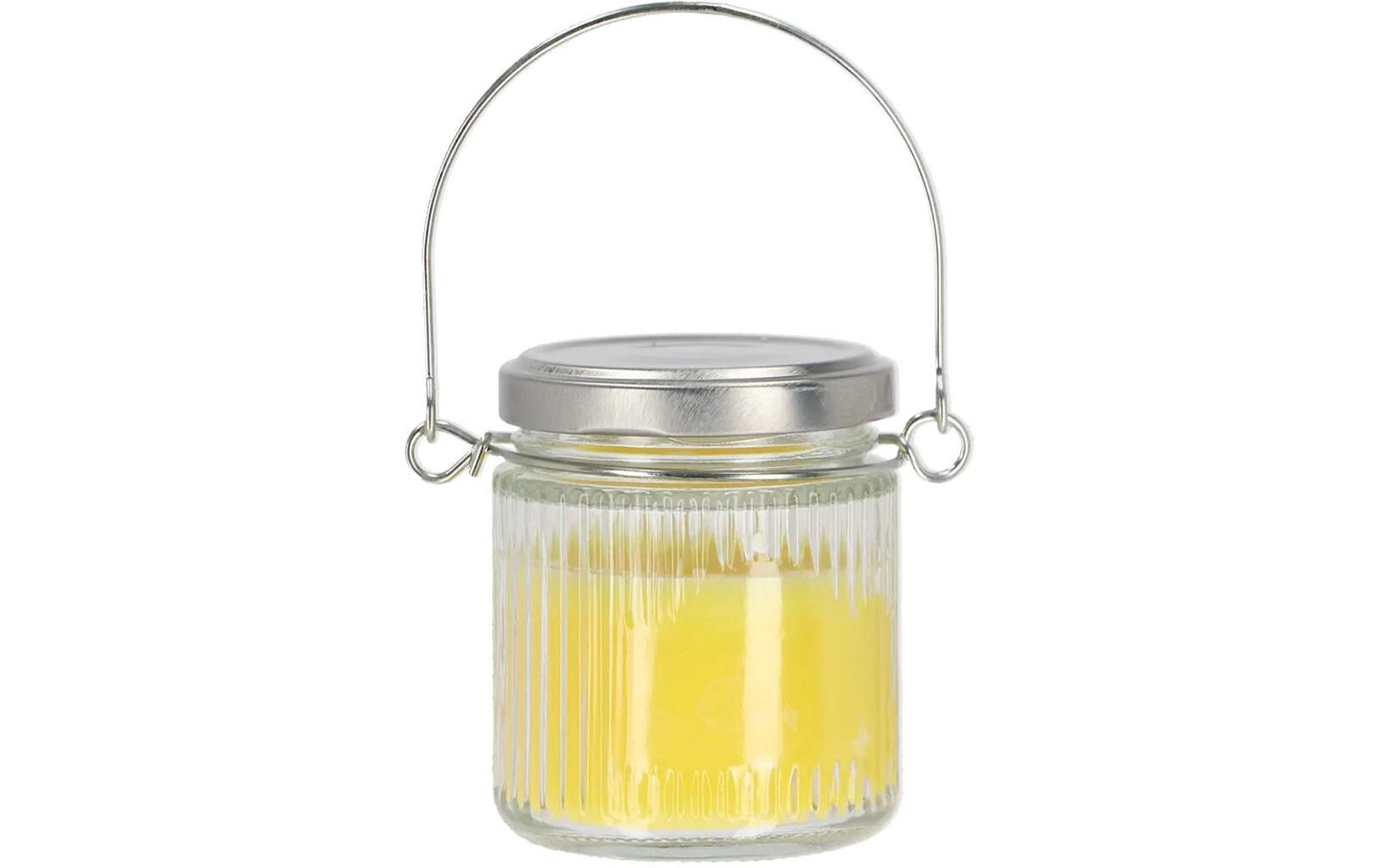Esschert Design Citronella Kerze im Glas-Hänger 1 Stück Esschert Design Citronella Kerze im Glas-Hänger 1 Stück