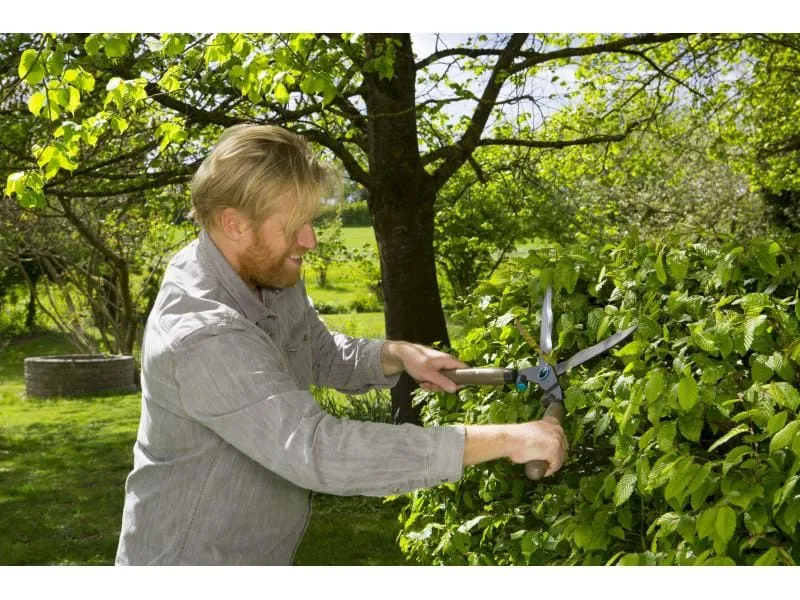 GARDENA Heckenschere NatureCut