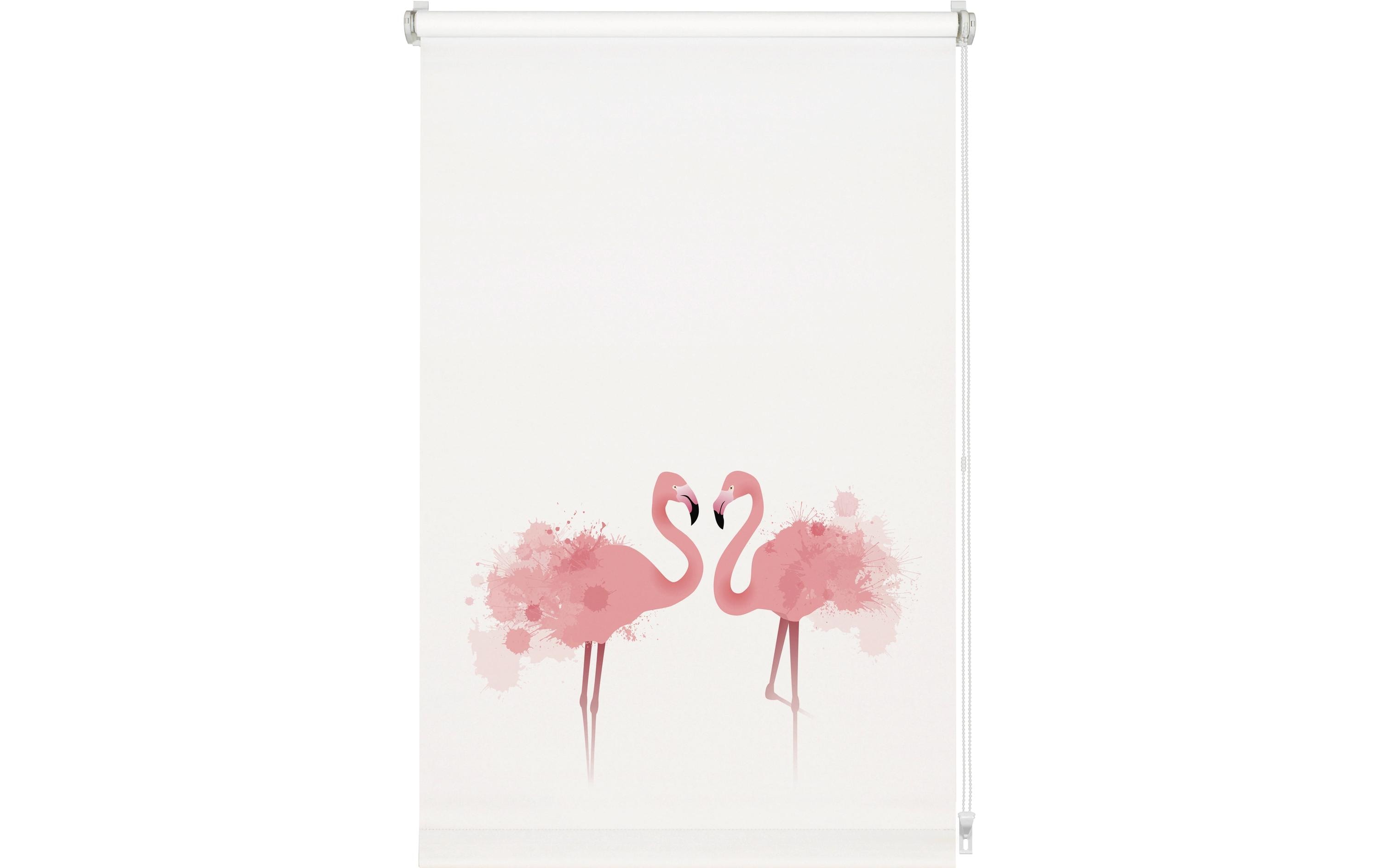 Gardinia EF Rollo Flamingo 70 x 150 cm, Weiss/Flamingo