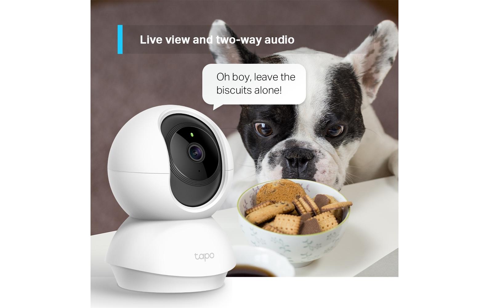 TP-Link Netzwerkkamera Tapo C210